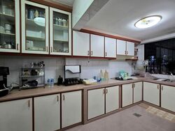 Lorong Sarina (D14), Terrace #475769551